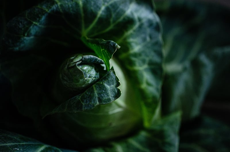 Plant-Based Goodness